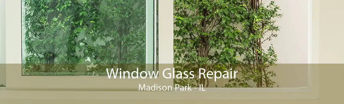 Window Glass Repair Madison Park - IL