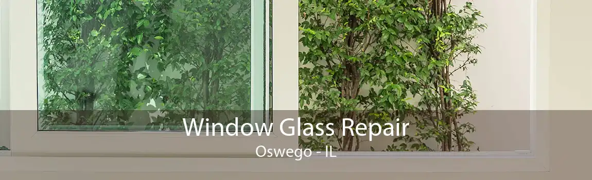 Window Glass Repair Oswego - IL