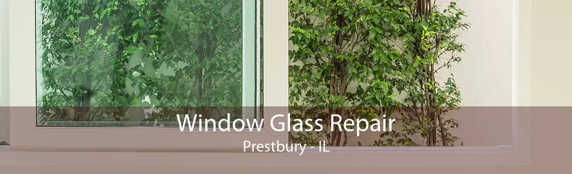 Window Glass Repair Prestbury - IL