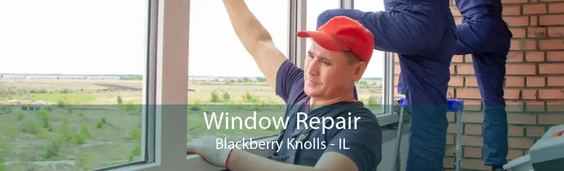 Window Repair Blackberry Knolls - IL