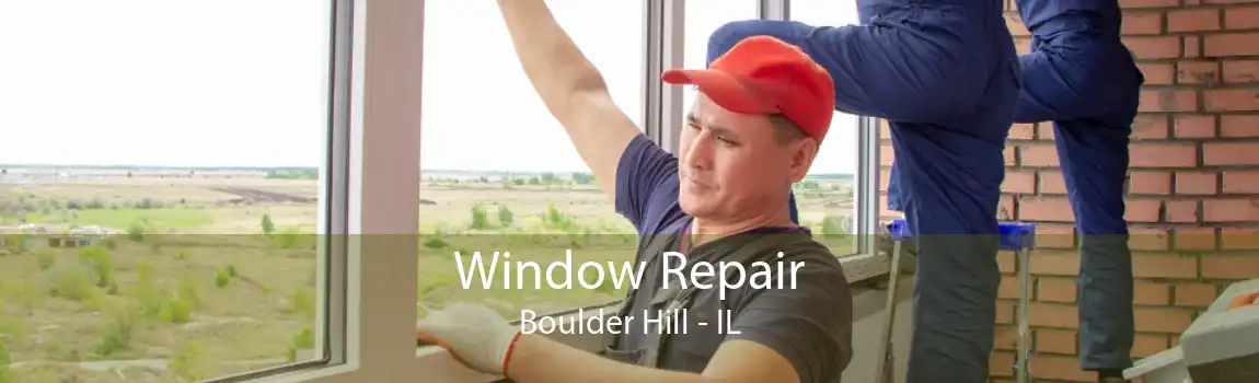 Window Repair Boulder Hill - IL