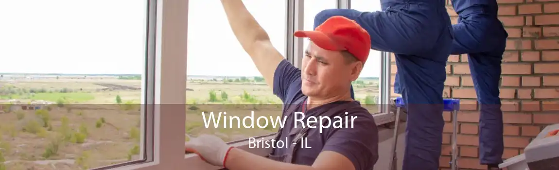 Window Repair Bristol - IL