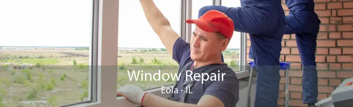 Window Repair Eola - IL