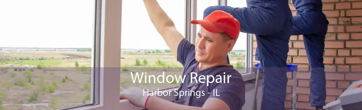 Window Repair Harbor Springs - IL