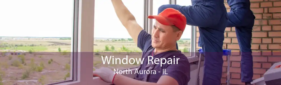 Window Repair North Aurora - IL