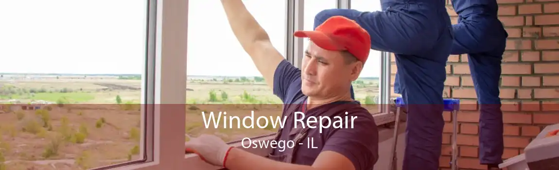 Window Repair Oswego - IL