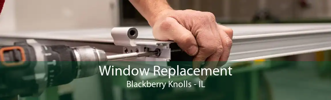 Window Replacement Blackberry Knolls - IL