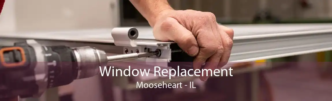 Window Replacement Mooseheart - IL