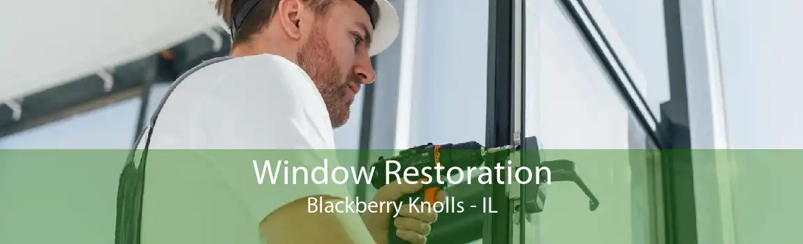 Window Restoration Blackberry Knolls - IL