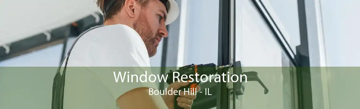 Window Restoration Boulder Hill - IL