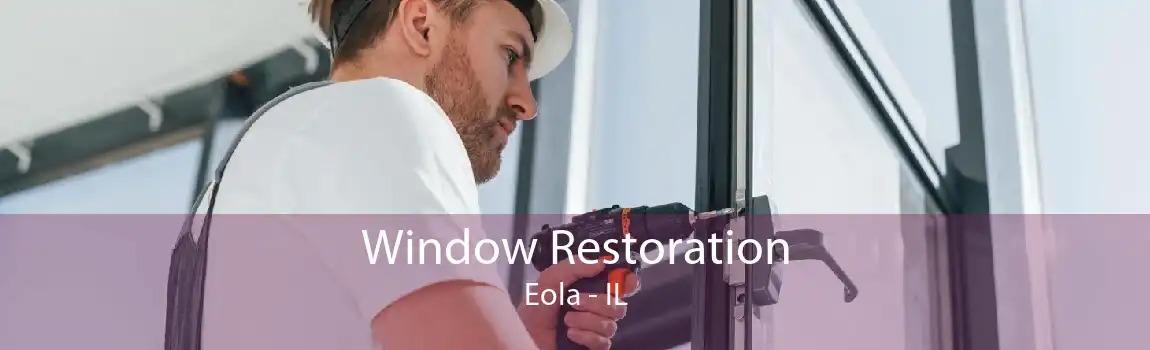 Window Restoration Eola - IL