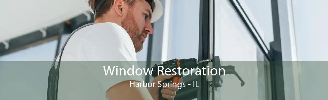 Window Restoration Harbor Springs - IL