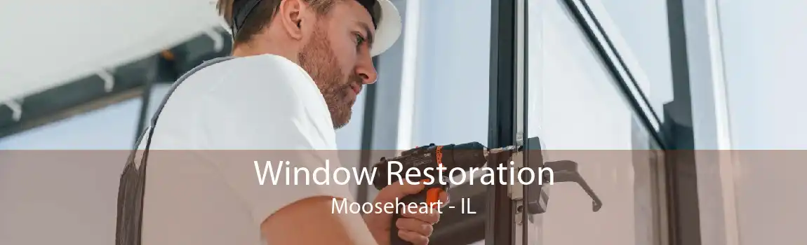 Window Restoration Mooseheart - IL