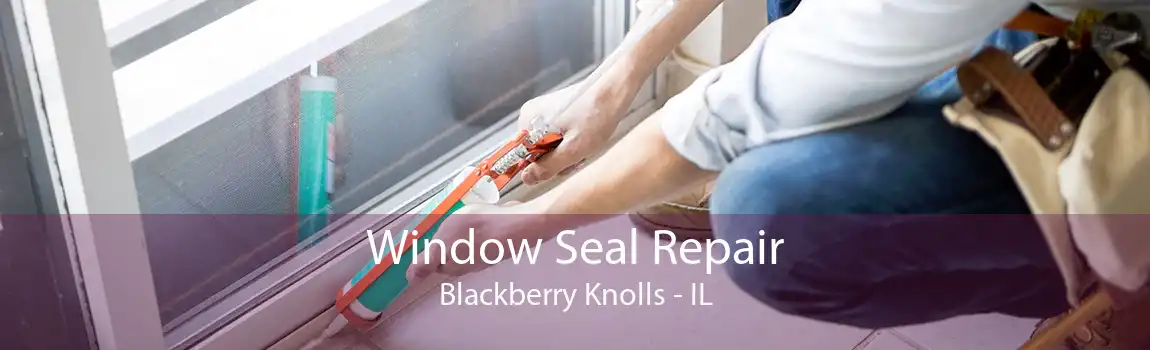 Window Seal Repair Blackberry Knolls - IL