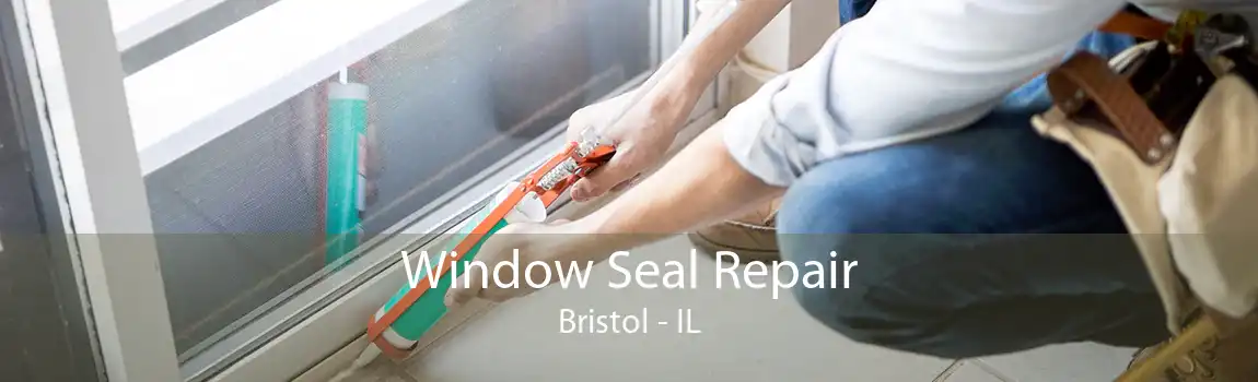 Window Seal Repair Bristol - IL