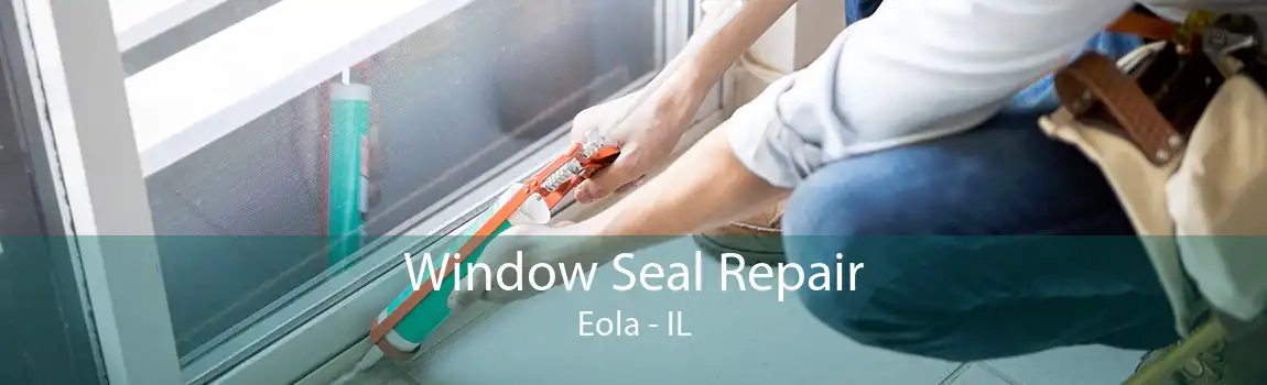 Window Seal Repair Eola - IL