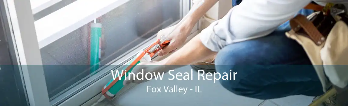 Window Seal Repair Fox Valley - IL