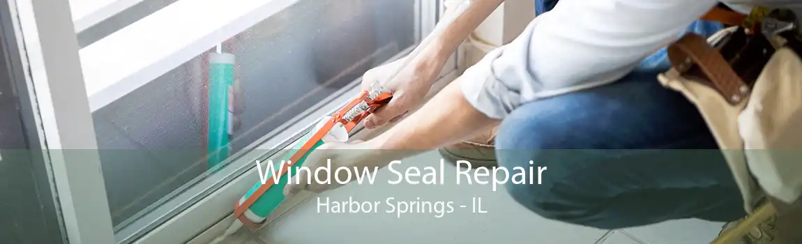 Window Seal Repair Harbor Springs - IL