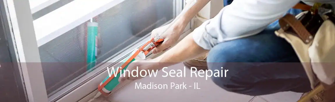 Window Seal Repair Madison Park - IL