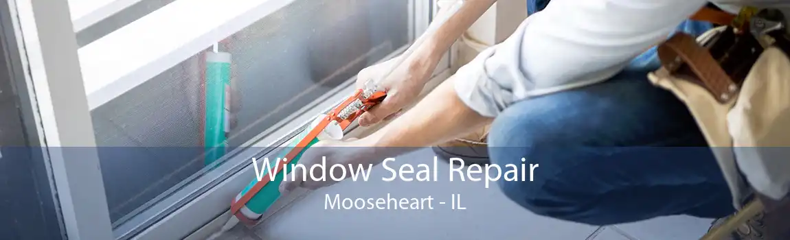 Window Seal Repair Mooseheart - IL