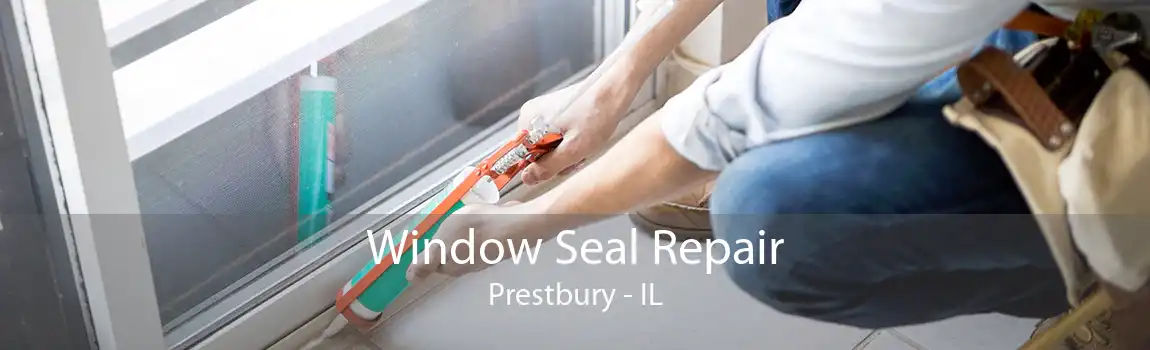 Window Seal Repair Prestbury - IL