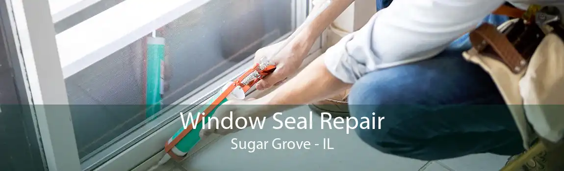 Window Seal Repair Sugar Grove - IL