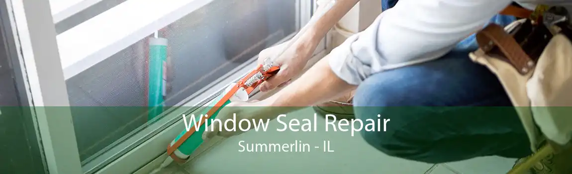 Window Seal Repair Summerlin - IL